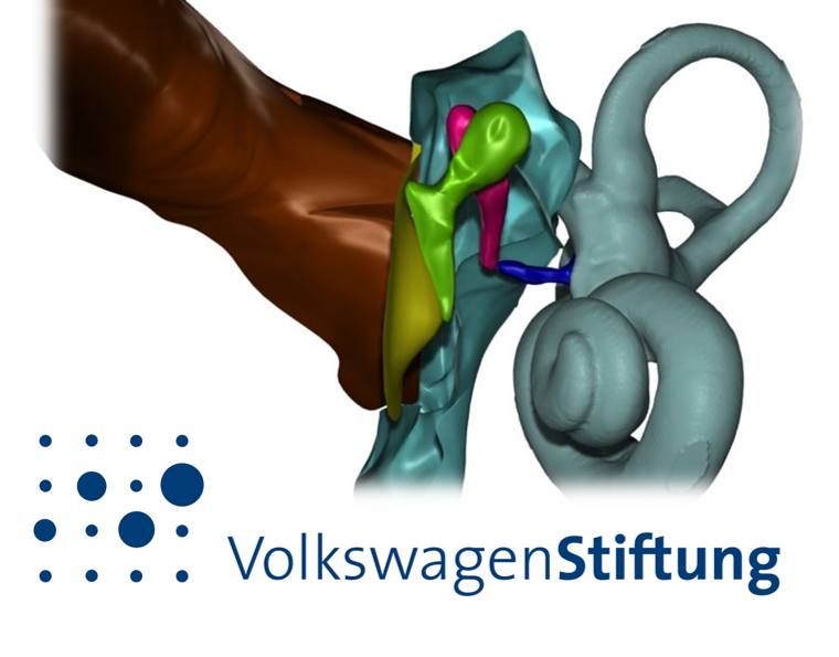 Volkswagen Stiftung