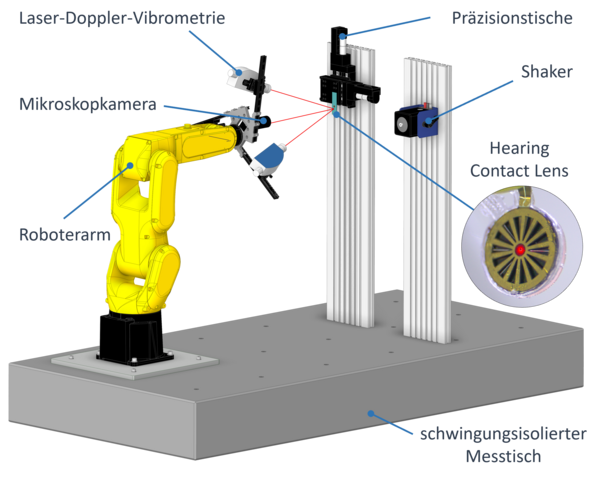 Die Laser-Doppler-Vibrometrie (LDV) ist ein wertvolles Messinstrument, um die biomechanischen Vorgänge bei der Übertragung von Schall durch das Mittelohr zum Innenohr messen und verstehen zu können.